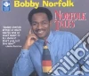 Norfolk Bobby