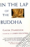 Harrison Gavin