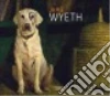 Wyeth Jamie (ART), Davis Elliot Bostwick, Houston David