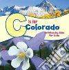 Boys & Girls Clubs Denver (COR)
