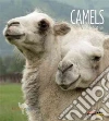 Gish Melissa