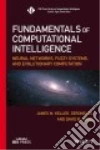 Keller James M., Liu Derong, Fogel David B.