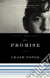 Potok Chaim
