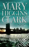 Clark Mary Higgins