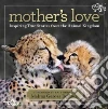 Bellows Melina Gerosa, Hudson Kate (FRW)