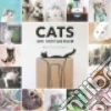 Cats of Instagram (COR)