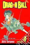 Toriyama Akira, Toriyama Akira (ILT)