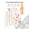 Anatomical Chart Company (COR)