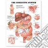 Anatomical Chart Company (EDT)