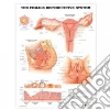 Anatomical Chart Company (EDT)