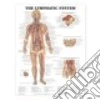 Anatomical Chart Company (COR)