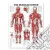 Anatomical Chart Company