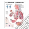 Anatomical Chart Company (COR)