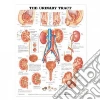 Anatomical Chart Company (EDT)