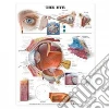 Anatomical Chart Company (EDT)
