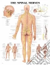 Anatomical Chart Company (EDT)