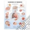 Anatomical Chart Company (EDT)