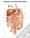 Anatomical Chart Company (COR)