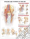 Anatomical Chart Company (COR)