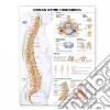 Anatomical Chart Company (EDT)