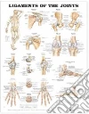 Anatomical Chart Company (EDT)