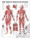 Anatomical Chart Company (EDT)