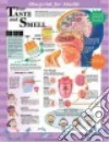 Anatomical Chart Company (COR), Sweeney Kate (ILT)