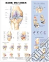 Anatomical Chart Company (EDT)