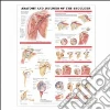 Anatomical Chart Company (EDT)