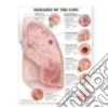 Anatomical Chart Company (COR)