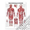 Anatomical Chart Company