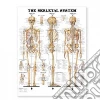 Anatomical Chart Company