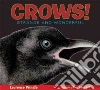Pringle Larry, Marstall Bob (ILT)