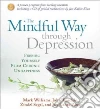 Williams J. Mark G., Teasdale John D., Segal Zindel Ph.D., Kabat-Zinn Jon