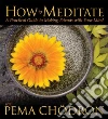 Chodron Pema