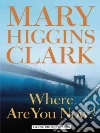 Clark Mary Higgins