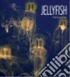 Gish Melissa