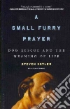 Kotler Steven