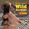 National Wildlife Federation (COR)