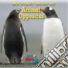 National Wildlife Federation (COR)