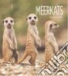 Gish Melissa