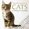 Baker Candida