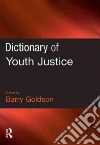 Barry Goldson