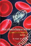 Gazit Ehud, Mitraki Anna