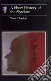 Stoichita Victor I.