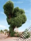 N�jera Janire (PHT)