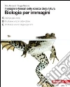 Saraceni Silvia, Strumia Giorgio