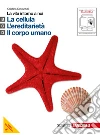 Cavazzuti Cristina, Gandola Laura, Odone Roberto