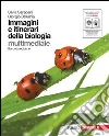 Saraceni Silvia, Strumia Giorgio