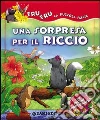 D'Achille Silvia